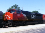 CN 8018